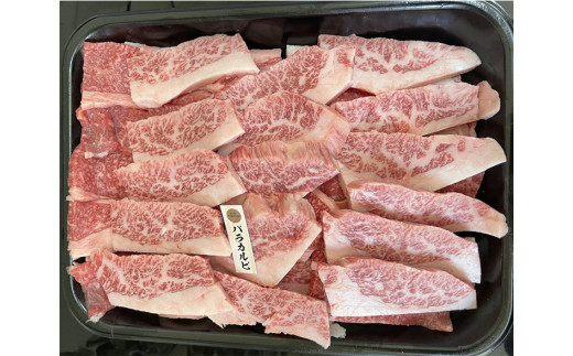 【冷蔵】那須黒毛和牛焼肉用A5（並カルビ）〔B-1〕| 牛肉 国産 赤身 那須和牛 黒毛和牛 那須黒毛和牛 とちぎ和牛 栃木和牛 ブランド牛 A5 すき焼き しゃぶしゃぶ 焼肉 ステーキ 夜ご飯 夜ご