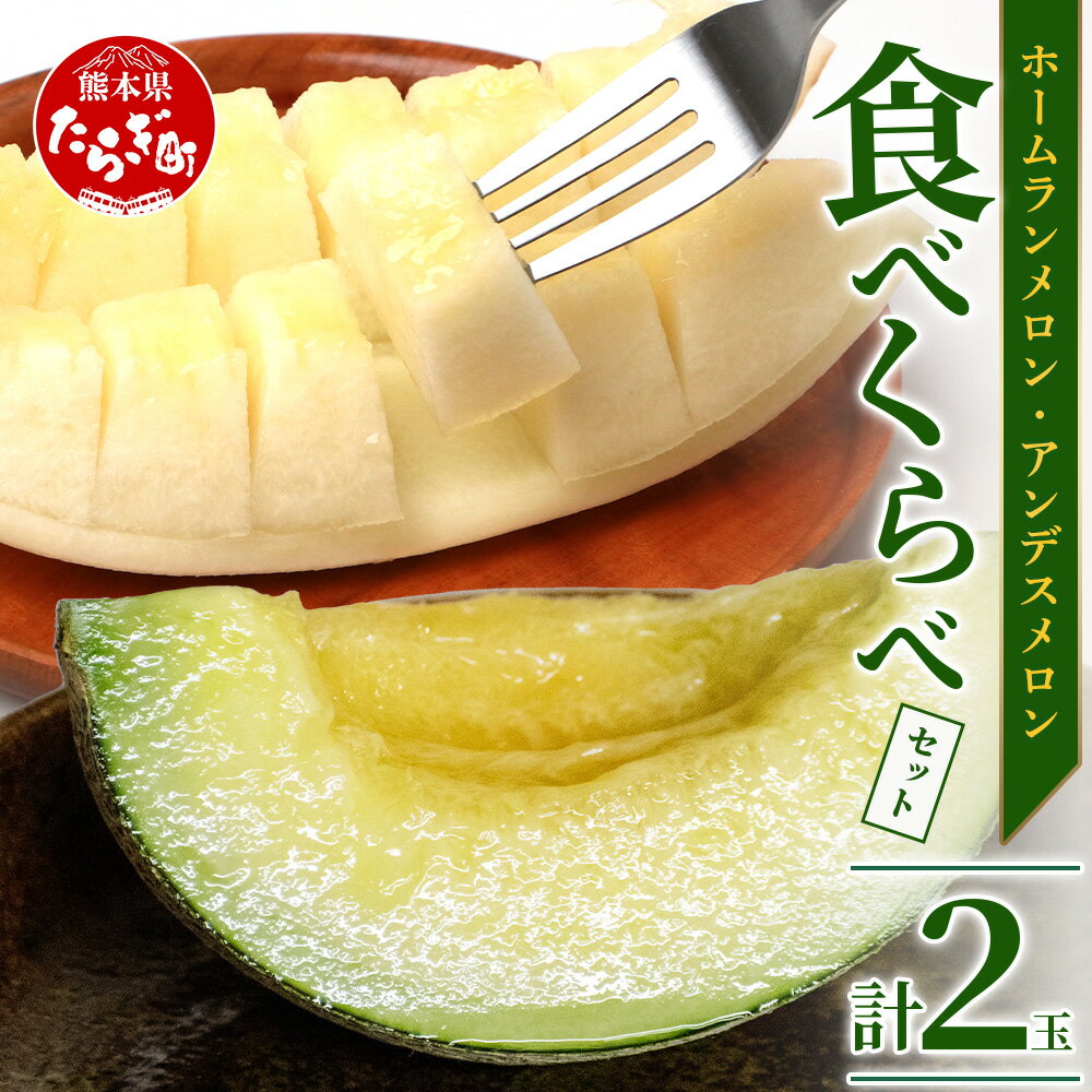 【ふるさと納税】＼2026年発送分 先行予約／熊本県産 ホームランメロン アンデスメロン 詰め合わせ 食べ比べ 総合計 約2.5kg以上 計2玉 ※令和8年5月上旬から順次発送※メロン 果物 フルーツ 甘い ジューシー 糖度14度以上 さわやか 甘い 送料無料