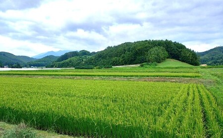 ふらの盆地のおぼろづき　10㎏ 【AD-017】