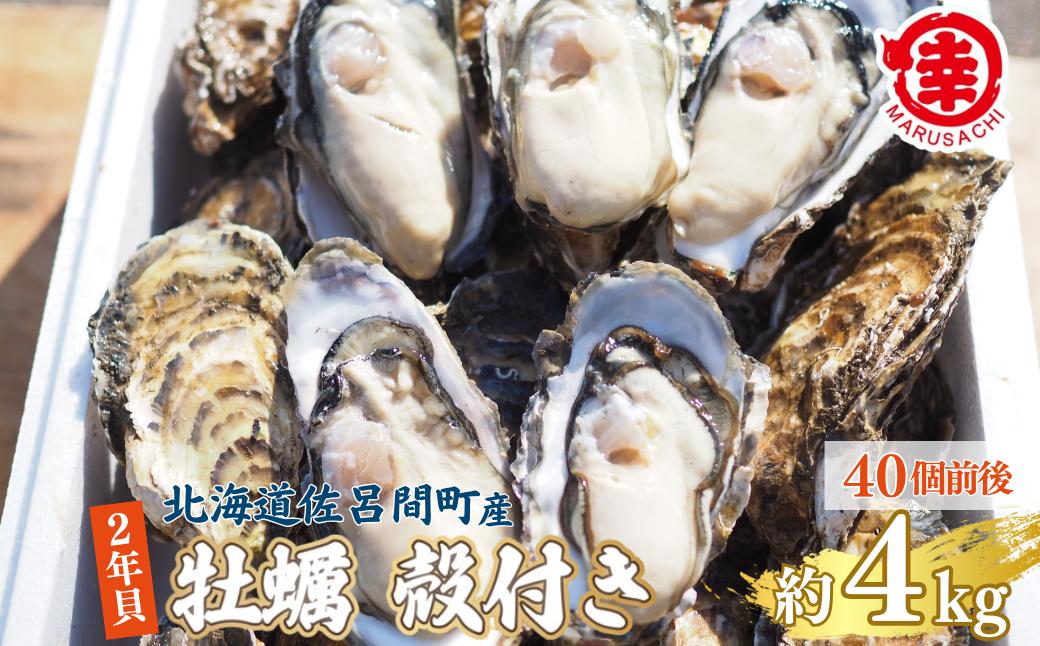 
                  【先行受付】カキ 殻付き 2年貝 約4kg（40個前後） 佐呂間産 （10月中旬以降順次発送開始予定）  【 ふるさと納税 人気 おすすめ ランキング 牡蠣 カキ かき 貝 牡蠣貝 かき貝 カキ貝 殻付き 殻付 殻付き牡蠣 殻付きカキ 殻付きかき グルメ ギフト 贈答 贈り物 BBQ バーベキュー 貝類 冷蔵 海鮮 オホーツク 北海道 佐呂間町 送料無料 】 SRMA041
                