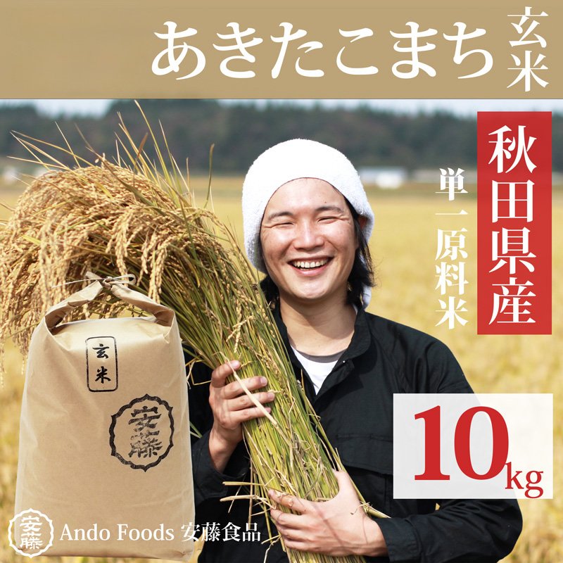 《令和7年産》秋田県産 あきたこまち 10kg(10kg×1袋)【玄米】令和7年産