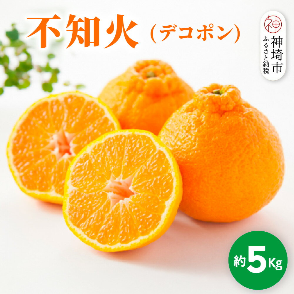 【ふるさと納税】【2026年1月中旬より発送開始】不知火(デコポン) 約5kg【みかん 柑橘 清美 ポンカン フルーツ デザート】(H116137)