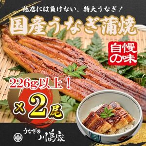 【冷凍2尾】岬町自慢の味　うなぎの川島家　国産うなぎ蒲焼　特大サイズ(226g以上)特製タレ付き【配送不可地域：離島】【1488344】