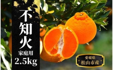 【不知火】家庭用 約 2.5kg ＜2025年2月末から4月頭頃発送＞ 愛媛 松山 みかん 先行予約 蜜柑 柑橘 果物 くだもの フルーツ お取り寄せ グルメ 期間限定 数量限定 人気 おすすめ 愛媛県 松山市 【PT029_x】