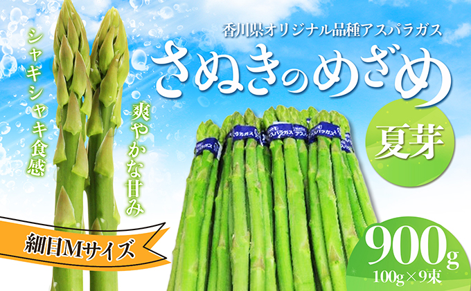 アスパラガス【さぬきのめざめ】夏芽Mサイズ900g グリーンアスパラガス 野菜 柔らかい シャキシャキ 旬の野菜 国産 食材 