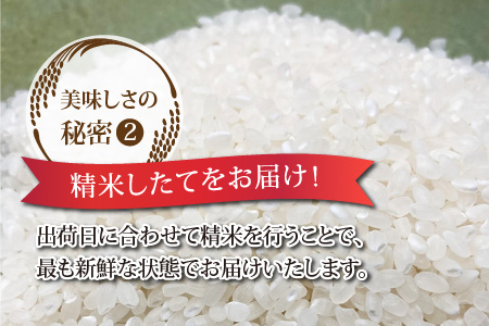 【6ヶ月連続お届け】【白米】令和5年度産 永平寺町産 コシヒカリ 5kg×6ヶ月（計30kg） [G-033073]