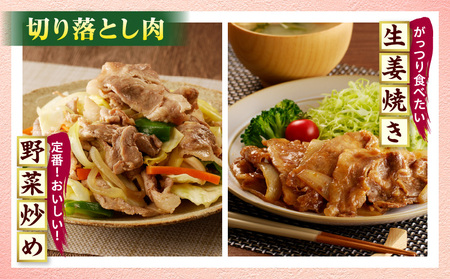 宮崎県産豚肉 切り落とし＆ミンチセット5.5kg 国産 セット 切り落とし ミンチ