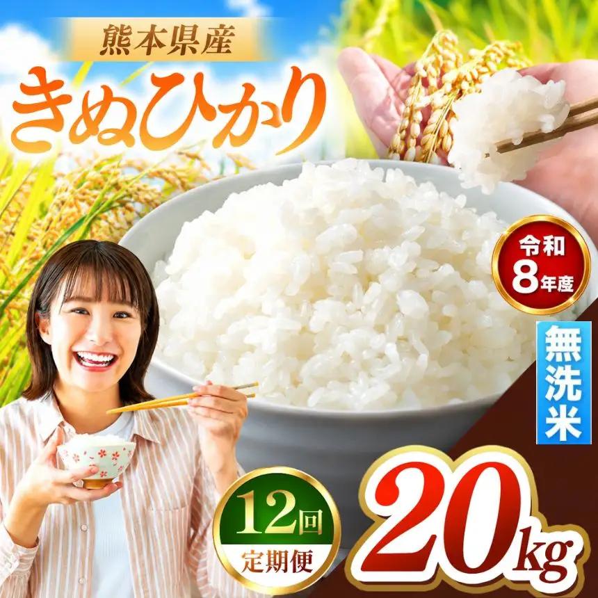 【 定期便 12回 】R8年産 熊本県産 無洗米 きぬひかり 20kg