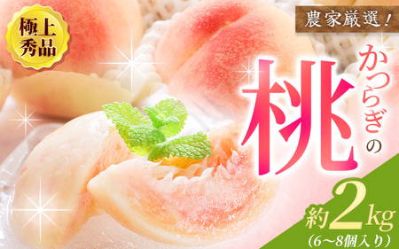 桃 もも 極上秀品 約2kg 6～8個入【先行予約】【2025年6月下旬頃から7月下旬頃順次発送】こだわり農家厳選 / 桃 もも モモ フルーツ 果物 くだもの 人気 産地直送 和歌山の桃 【BK002-kgr001】