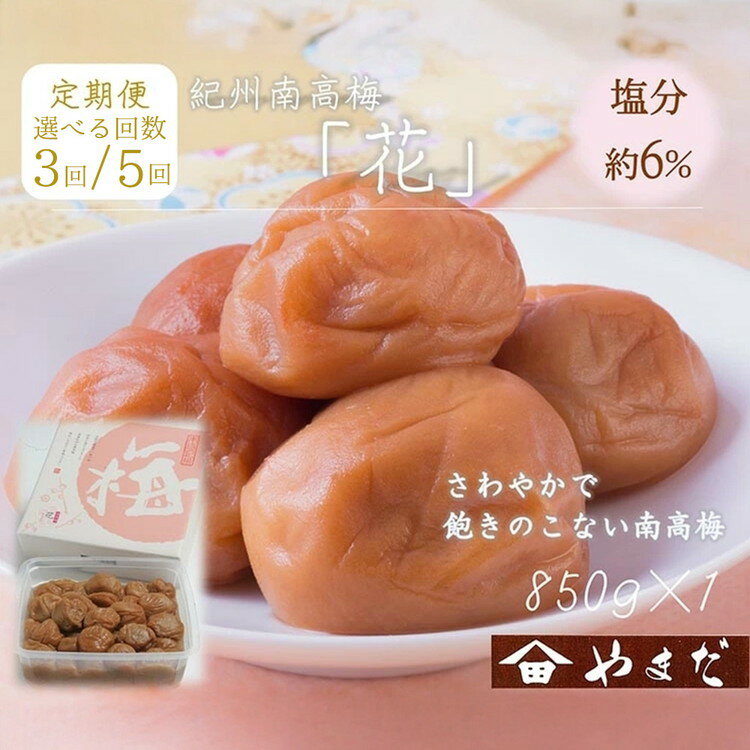 【ふるさと納税】＼選べる配送回数／【定期便】紀州南高梅「花」塩分約6％（850g）