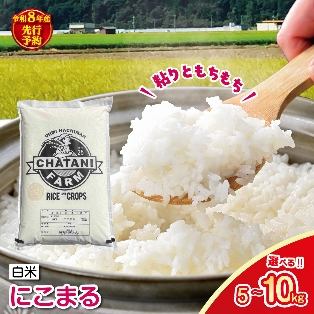 【ふるさと納税】【新米　先行予約】令和8年産近江米にこまる 白米 5kg / 10kg 茶谷ファーム 滋賀県産 御中元 お中元
