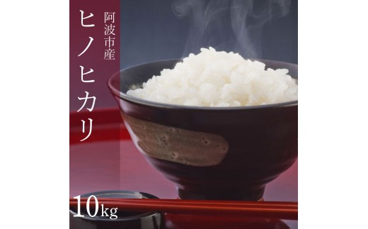 ヒノヒカリ 10kg 令和7年産 米 こめ ご飯 ごはん おにぎり 白米 精米 新米 卵かけご飯 食品 備蓄 備蓄米 保存 防災 ギフト 贈答 プレゼント お取り寄せ グルメ 送料無料 徳島県 阿波市
