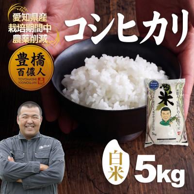ふるさと納税 豊橋市 【栽培期間中農薬削減】令和7年産 コシヒカリ白米5kg 愛知県 豊橋市 産地直送
