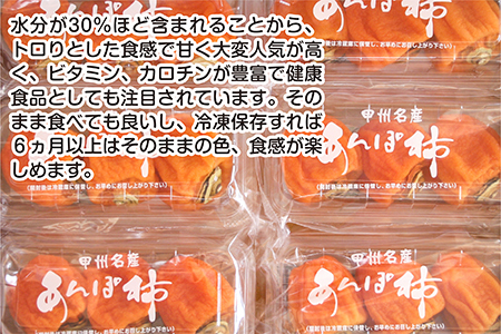 5-349 南アルプス市商工会が厳選　フルーツ王国南アルプスの「甲州百目あんぽ柿」（百目あんぽ柿12個～18個入）