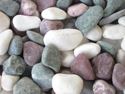 スペシャル五色5分（13～20ｍｍ） 20kg袋 兵庫県 洲本市 淡路島