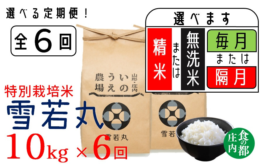 
                  食の都庄内　【定期便6回】井上農場の特別栽培米　雪若丸10kg×6回（計60kg）【隔月】【毎月】／【精米】【無洗米】選べます！
                
