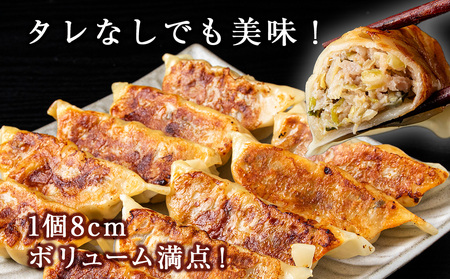 知内ニラ餃子（10個入り）3袋【知内観光協会】