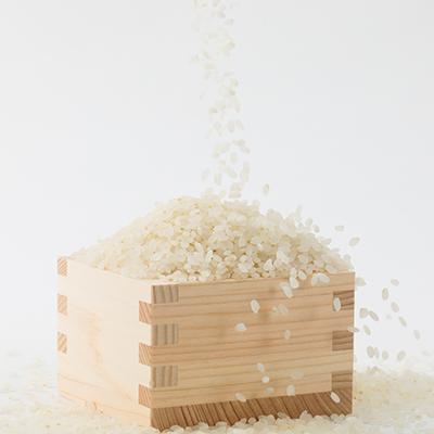 ふるさと納税 津山市 【突鉱土育ち】津山産トッコウ米(こしひかり)5kg |  | 01