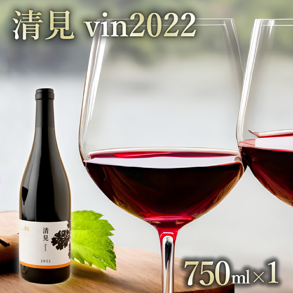 【ふるさと納税】赤ワイン：清見 vin2022 750ml×1本(箱入) 北海道 十勝 芽室町