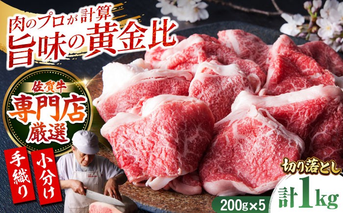 
【便利な小分け】佐賀牛 切り落とし 1kg ( 200g×5パック ) 【肉の三栄】 [HAA079]
