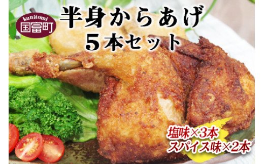 ＜半身からあげ5本セット(塩味×3本 スパイス味×2本)＞準備でき次第翌々月までに順次発送【a0032_hi】