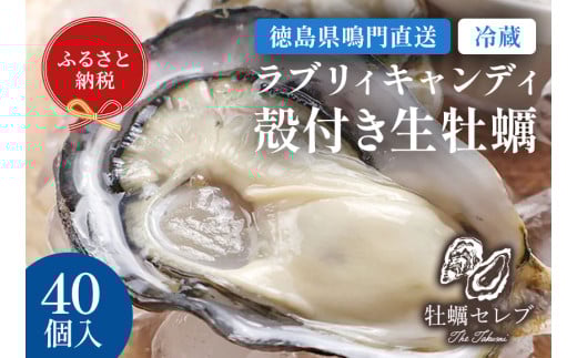 【牡蠣セレブ】ラブリィキャンディ ×40個    生食  カキ 殻付き 生牡蠣 かき 鳴門  かき ブランド牡蠣 海鮮 魚介 貝類 焼き牡蠣 蒸し焼き カキフライ アヒージョ 牡蠣ご飯