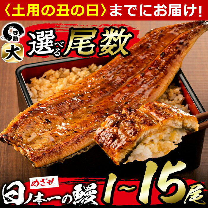【丑の日までにお届け！7月14日入金まで】うなぎ生産量日本一の鹿児島県産！日ノ本一の鰻の蒲焼き＜大＞5尾セット(計950g以上)たれ、山椒付き！「酸素たっぷり贅沢水」で育ったおいしいウナギ【日鰻】c