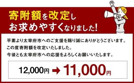 【寄附額改定↓】【訳あり】やまや 熟成無着色 辛子明太子 切子 冷凍 1kg (1000g) 【11月発送】