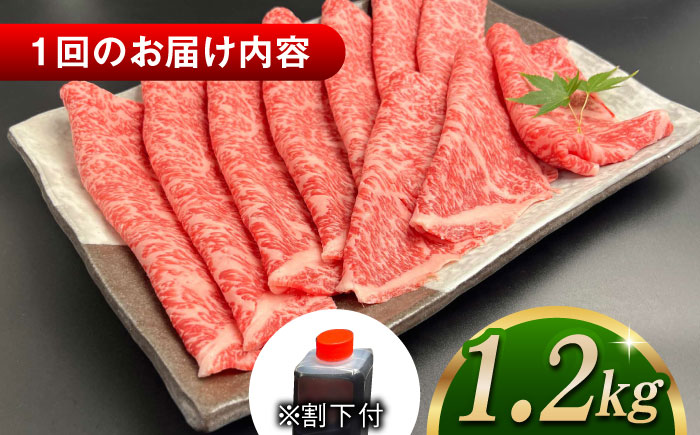 【全12回定期便】その旨味、最上級！「しまね和牛肉」 ロース すき焼き用 約1.2kg 【高級 焼肉勇花理(ゆうかり)】 島根県松江市/有限会社おき精肉店 [ALFT043]