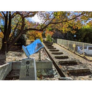 【返礼品なし】大学支援事業(名古屋短期大学)100,000円