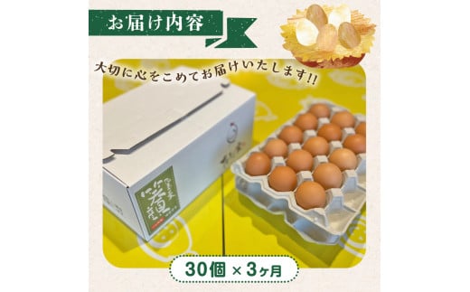 PF-1 たまご家のハーブ卵（笑顔）30個 3ヵ月定期便