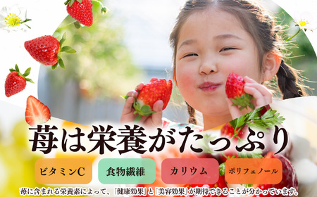 平群 の 古都華 4L ～ 5L サイズ （2パック 2ケース） 計4パック 辻本農園 | フルーツ いちご 古都華 先行予約 奈良県 平群町