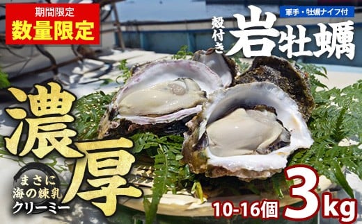 
            夏に美味い岩がき 約3.0kg 錦盛丸水産 (計約3.0kg・10個×約300g)【錦盛丸水産】kinsei-1298-02R7
          