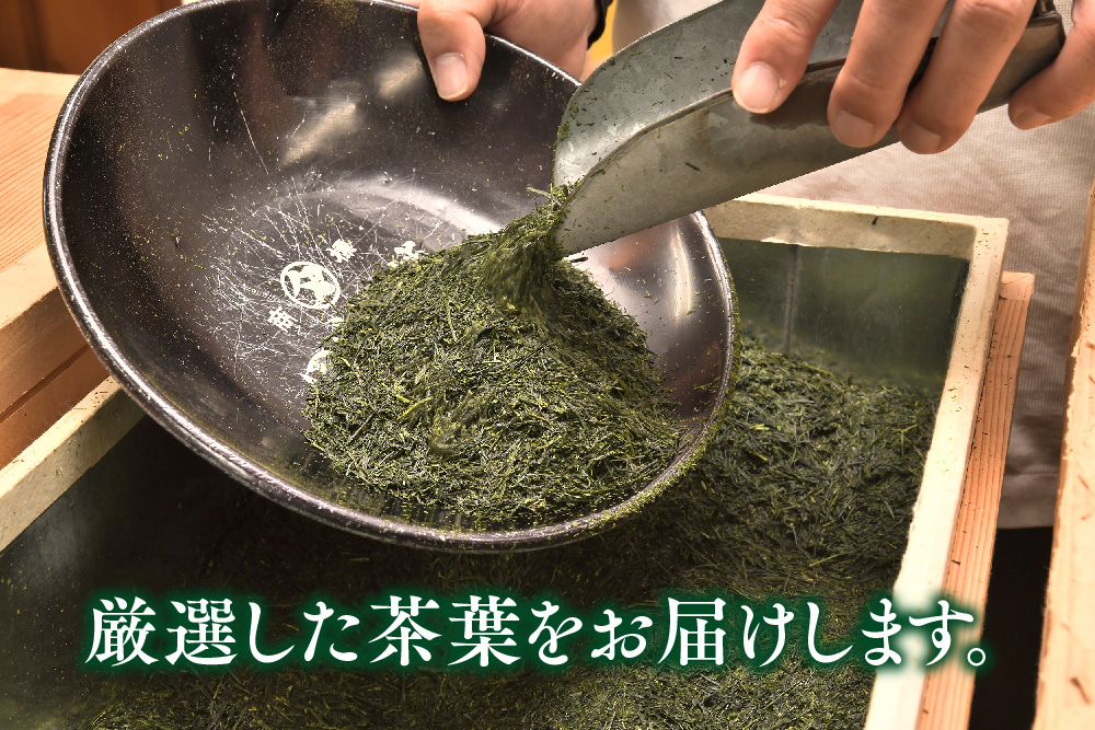 【毎月お届け6回】特上煎茶八重2本と季節のお茶1本(合計100g×3本)【田中茶舗 銘茶問屋 特上煎茶 八重 100g サエミドリ 甘い口当たり うま味 渋み 深み 九州】(H047129)