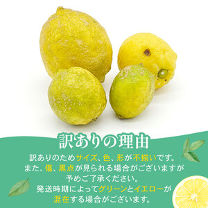 【先行予約】訳ありレモン 1kg ワックス 防腐剤不使用 サイズミックス カラーミックス グリーンレモン イエローレモン 柑橘 傷 不揃い レモン 檸檬 れもん  サイズミックス 規格外 常温 愛南町