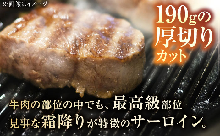 佐賀牛 牛肉 肉 サーロイン ロース 霜降り ステーキ