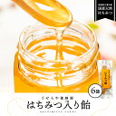 【ふるさと納税】はちみつ入り飴45g×6袋【RY-2】｜送料無料 国産 はちみつ飴 はちみつあめ はちみつ ハチミツ 蜂蜜 あめ 飴 キャンディー お菓子 おかし のど 喉 のどケア 喉ケア 喉の痛み 乾燥 琥珀色 フルーティーな味わい ピクニック ギフト 贈物｜