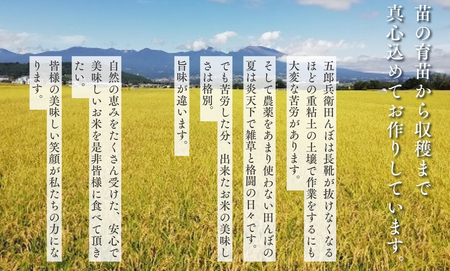 【令和7年産・白米10kg】「五郎兵衛さんのお米」 コシヒカリ | 長野県 信州こしひかり コシヒカリ