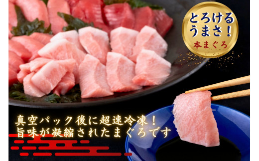 A143長崎県産 本マグロ 大トロ 中トロ 赤身 セット 800g 以上 産地直送 新鮮 刺身 柵 冷凍 真空パック 小分け タレ付き 刺身 本鮪 マグロ まぐろ 鮪 トロ 魚貝 鮮魚 海鮮丼 本家永