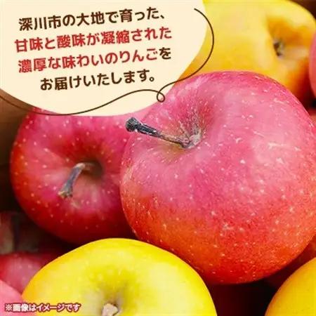 【令和8年産先行受付】北海道深川市産りんご(つがる)5kg【ふるさと納税】【配送不可地域：離島】【1298284】