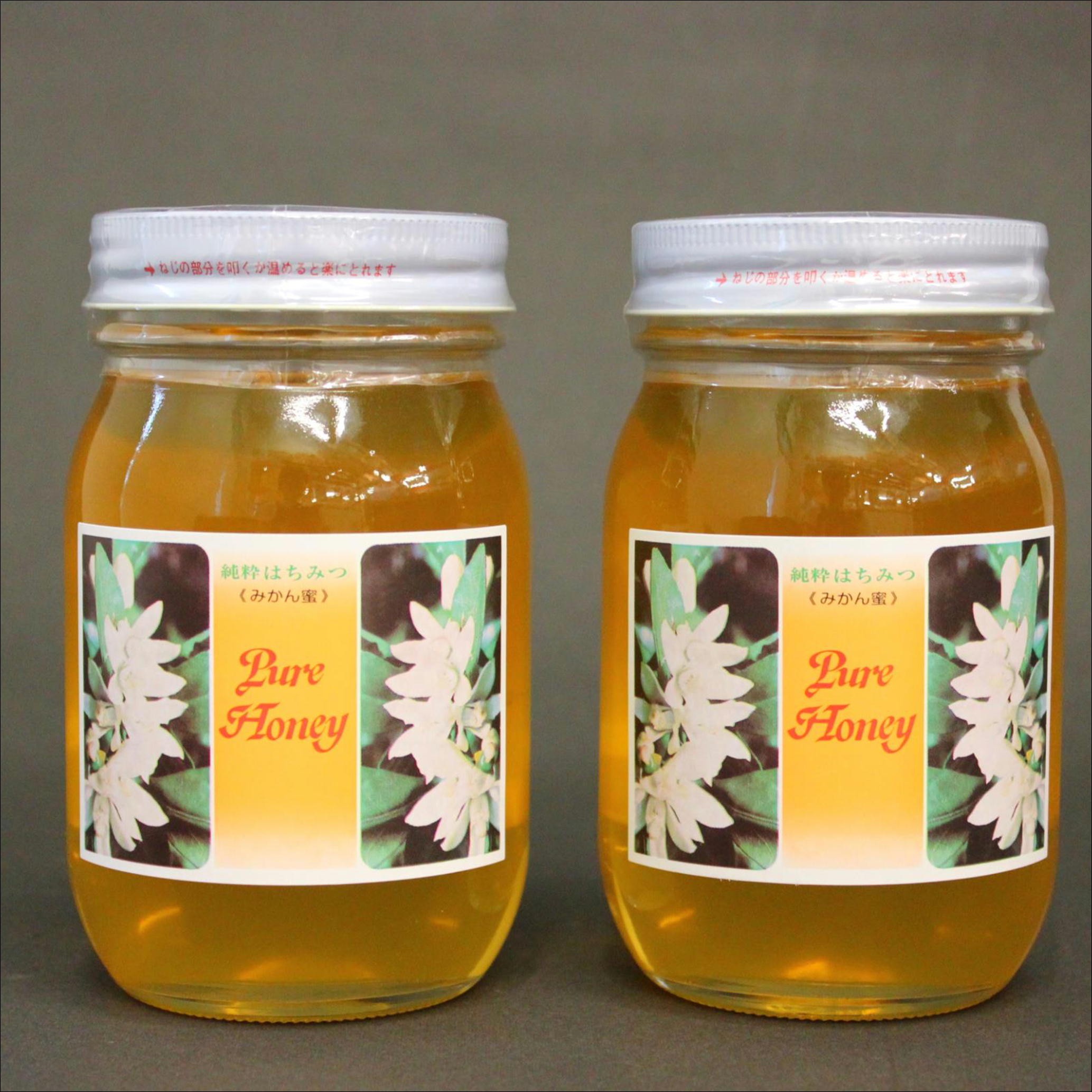 
                  みかん蜜セット 600g ×2 maruni098


                