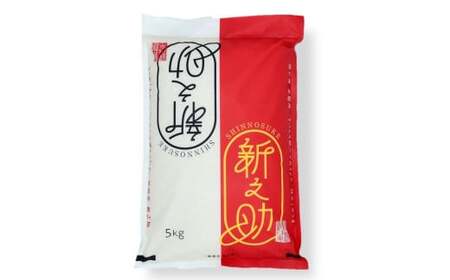 【令和7年産新米】新之助 白米 5kg 新潟米 しんのすけ[Y0470]