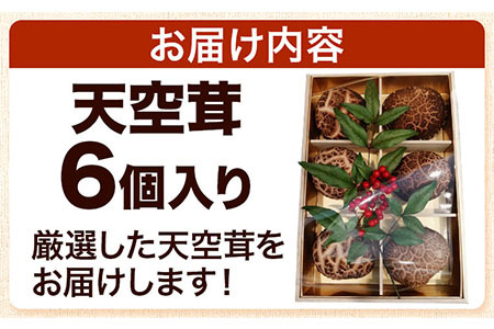 椎茸 生椎茸 しいたけ 天空茸 6個 《30日以内に出荷予定(土日祝除く)》アーマット福岡 有機栽培 きのこ 福岡県 小竹町 野菜 天ぷら 煮物 ミッションバレーゴルフクラブ