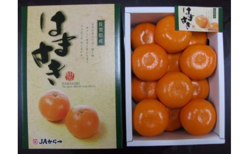 
                  [№5353-0589]【麗江】はまさき 2.5kg 柑橘 果物 フルーツ デザート ※配送不可:離島
                