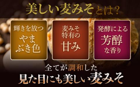 美しい麦みそ全部いただきますセット