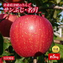 【ふるさと納税】【12月発送】【里いちみfarm】青森県津軽のりんご　特選「サンふじ・名月」約5kg　板柳町　お届け：2024年12月1日～2024年12月25日