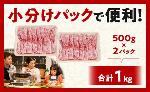 宮崎牛 肩スライス 1kg