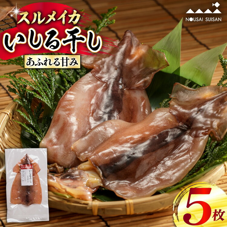 能登 船凍スルメイカ いしる干しセット 5枚 [能西水産 石川県 志賀町 AD4115] いか イカ スルメイカ いしる干し 干物 セット 干物セット 魚 海鮮 魚介 魚介類 海産物 おかず 惣菜 おつまみ