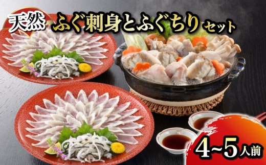 【1月以降順次発送】天然ふぐ刺身とふぐちりセット 4～5人前 ふぐ てっさ フグ フグ刺し ふぐ鍋 鍋 お鍋 河豚 関門ふぐ ふぐちり ちり 高級魚 鮮魚 お取り寄せ ギフト 贈答 中元 歳暮 お祝い 記念 下関 山口