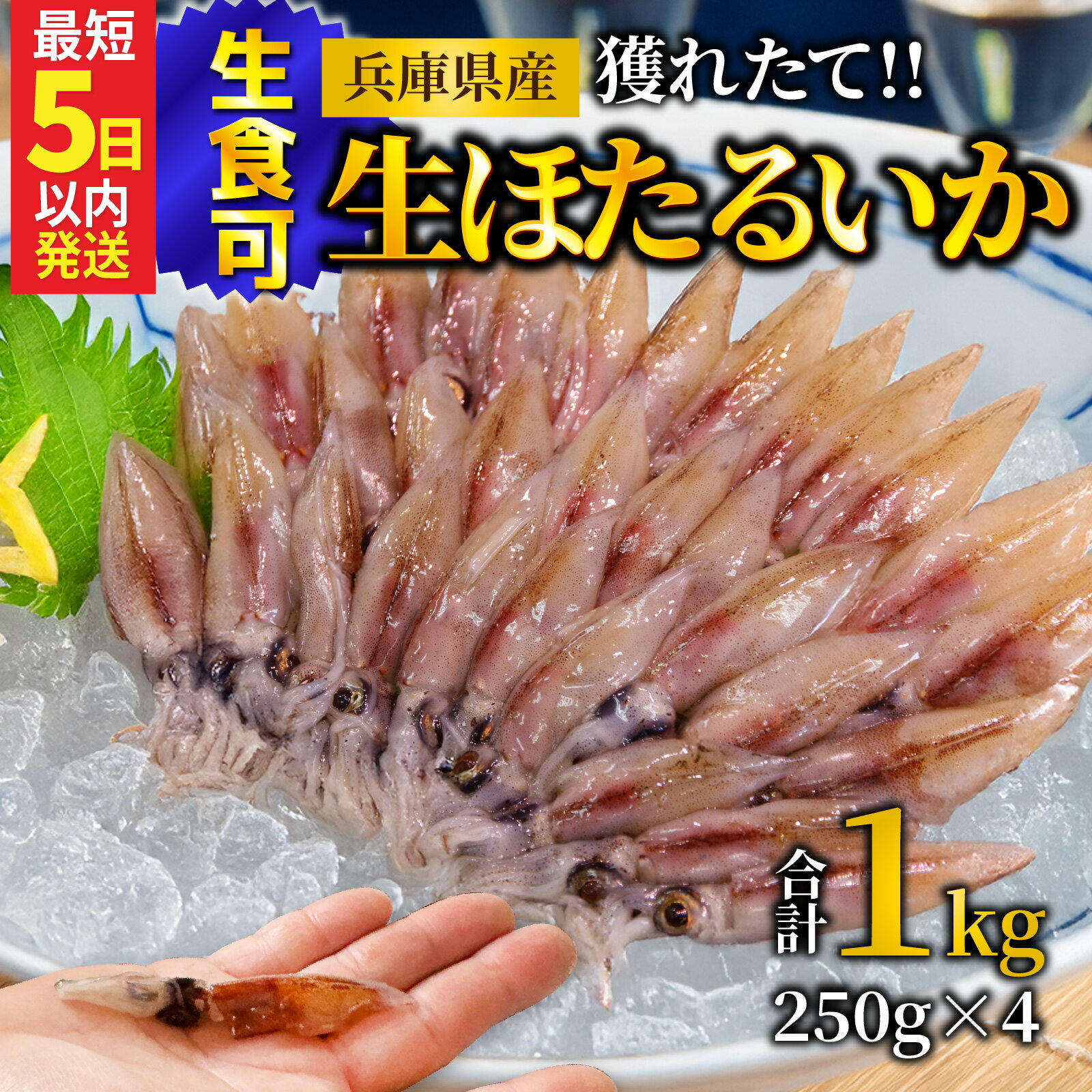【ふるさと納税】【生食可】 冷凍 生ほたるいか 1kg 小分け 250g×4パック / ホタルイカ 兵庫県 いか 生ほたるいか 浜坂港 真空パック 刺身 ボイル しゃぶしゃぶ 簡単調理 おもてなし 日本海 魚介類 新鮮 海の幸